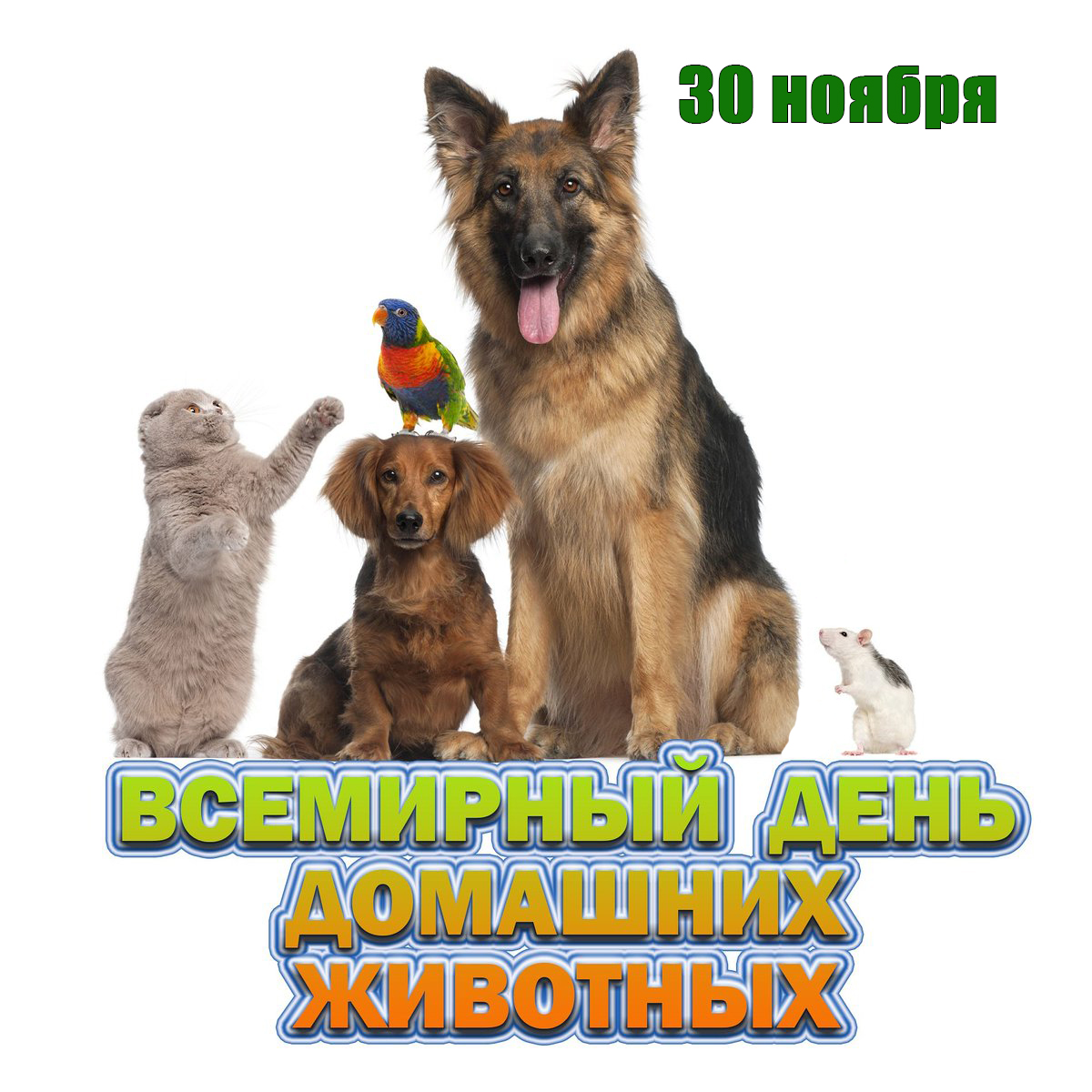 30 ноября