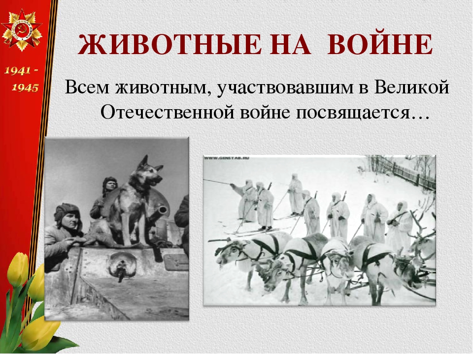 Викторина