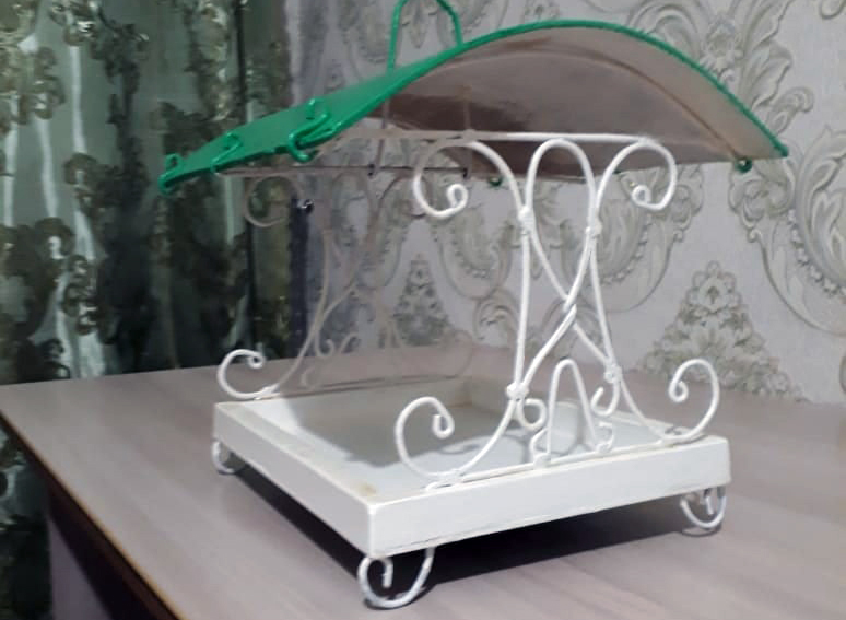 Дручинина Ангелина