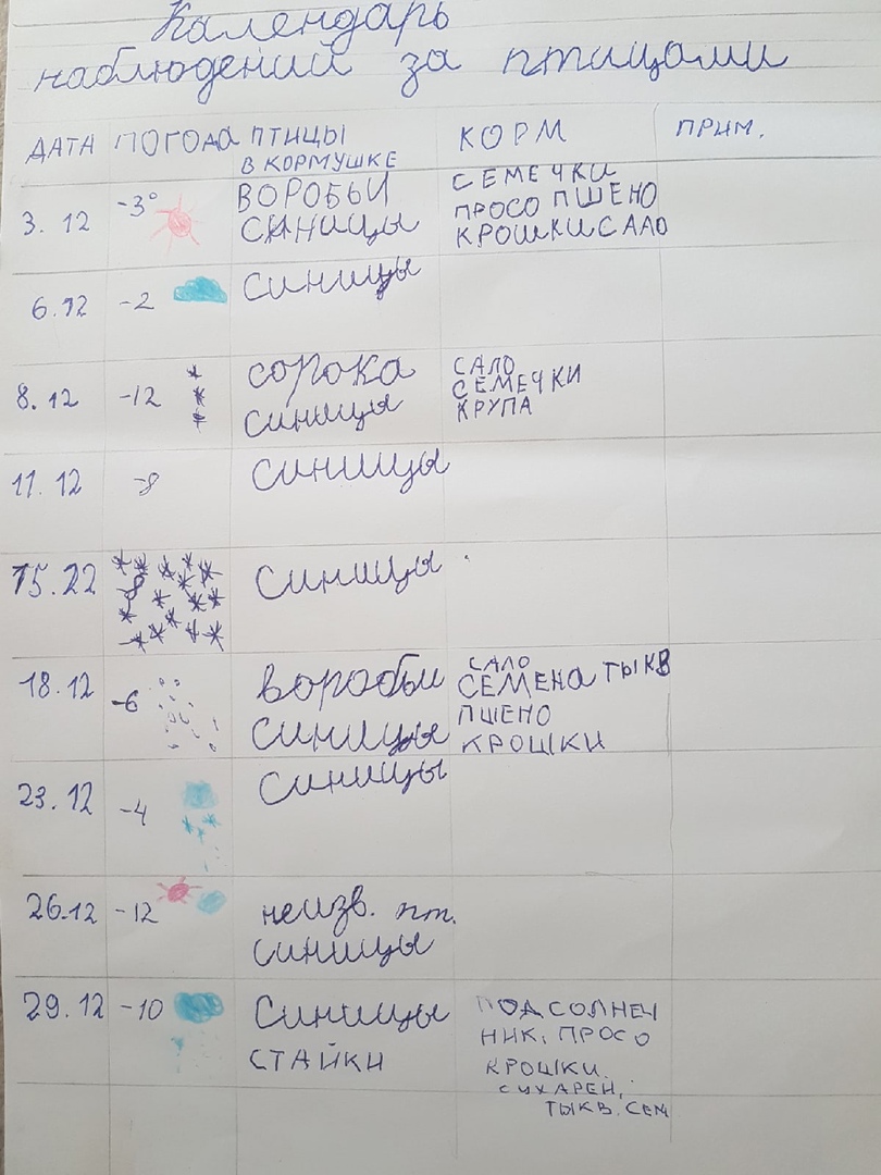 Ермакова наблюдение