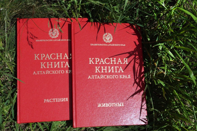 Красная книга Алтайского края