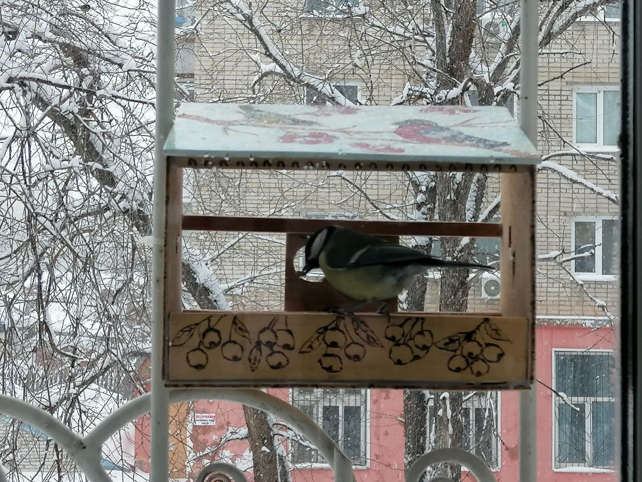 Крюкова Ульяна кормушка